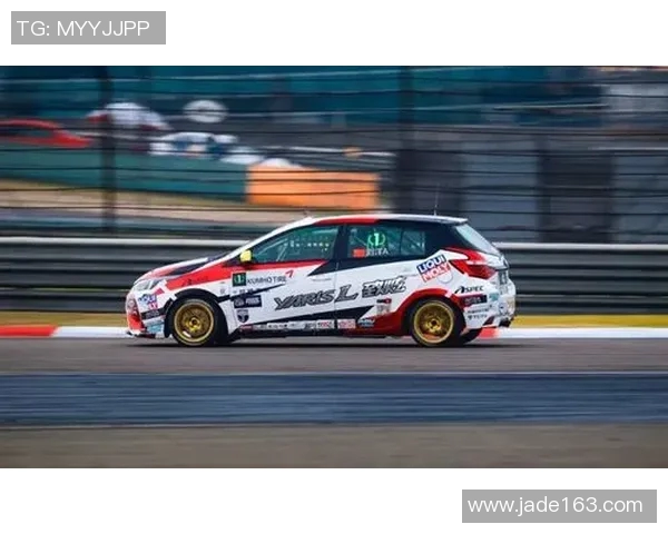 上海排球队征战洲际杯的拼搏历程与荣耀时刻回顾